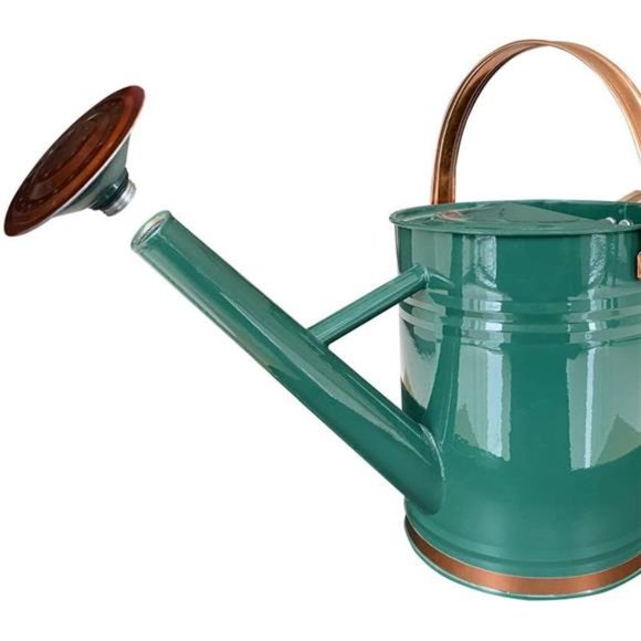 Metal Watering Can for Outdoor and Indoor Plants, 1 Gallon - Summer Gardening - Picture 4 of 8